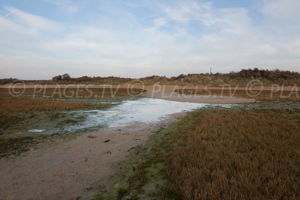 Accès à la plage de la Redoute de Merville Franceville zone des dunes