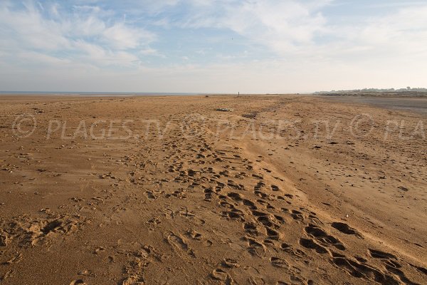 Photo de la plage naturiste de Merville Franceville dans le Calvados