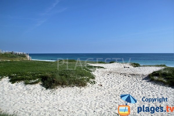 Dune de la plage de Mesperleuc à Plouhinec