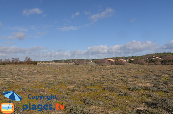 Environnement de la plage du Métro - Tarnos