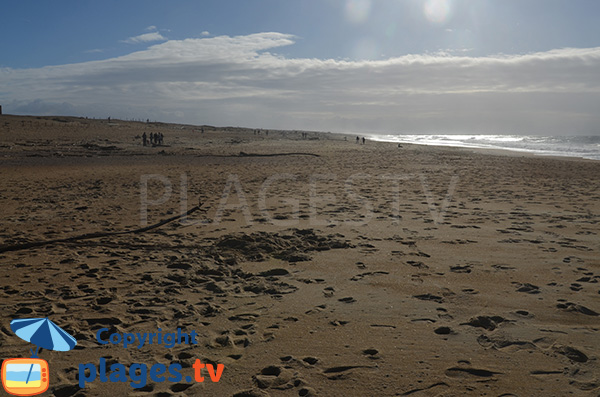 Plage du Métro en direction de l'Adour - Tarnos