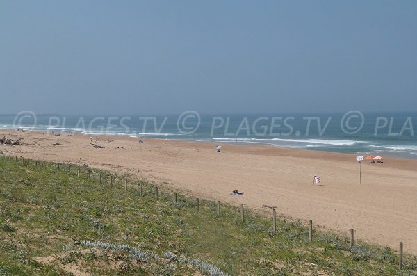 Wild beach in Tarnos