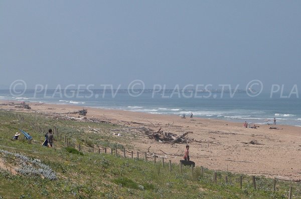 Plage océane à Tarnos proche du centre ville