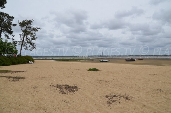 Spiaggia a Claouey - bacino d'Arcachon - Michelet