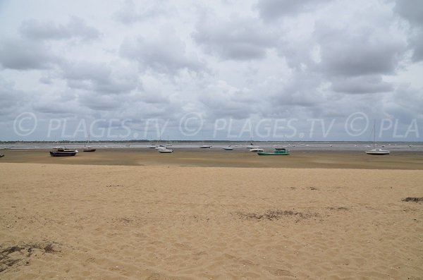 Beach next to Claouey village in the Arcachon bay - France