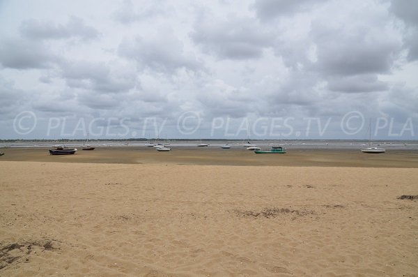 Plage au niveau du village de Claouey sur le Bassin d'Arcachon