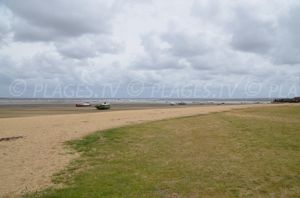 Photo of Michelet beach - Claouey - Cap-Ferret