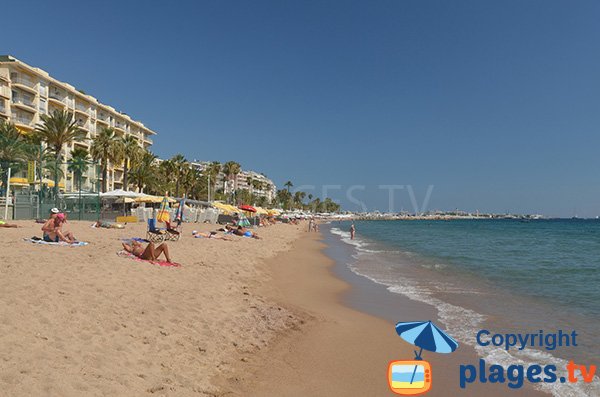 Plages privées à Cannes sur le boulevard du Midi