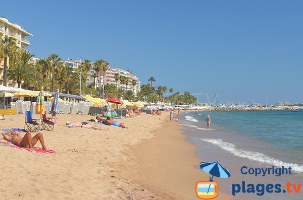 Plages privées sur la plage du Midi à Cannes