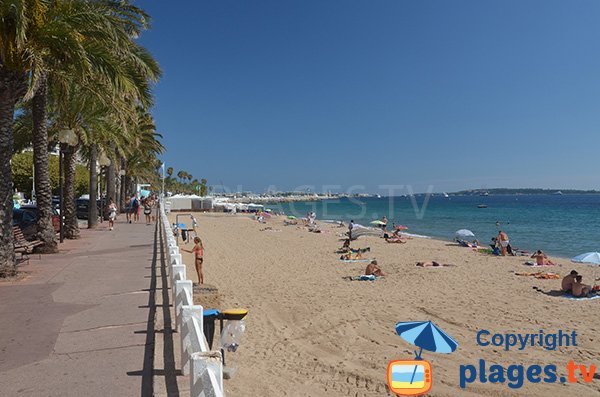 Foto spiaggia del Midi e vista isole di Lerins - Cannes