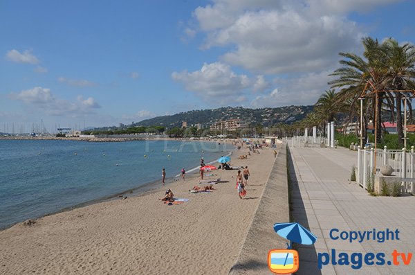 Photo de la plage du Midi à Golfe Juan