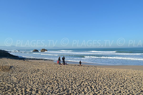 Plage Milady à Biarritz