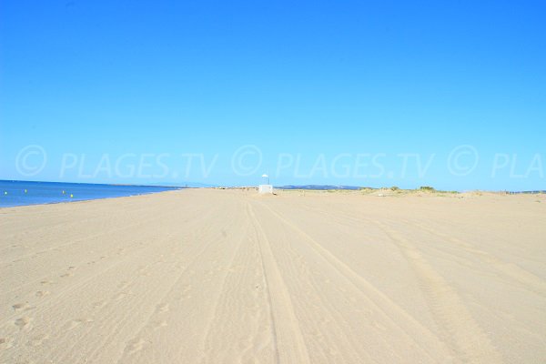 Wild beach in Vendres - Les Mimosas