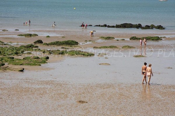 swimming in Mine d'Or beach at low tide - Penestin