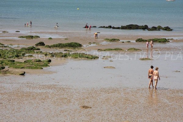 Baignade sur la plage de la Mine d'Or à marée basse