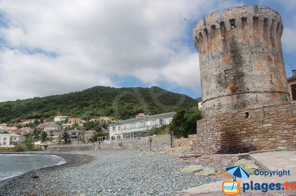 Photo de la plage de Miomo à Santa-Maria-di-Lota