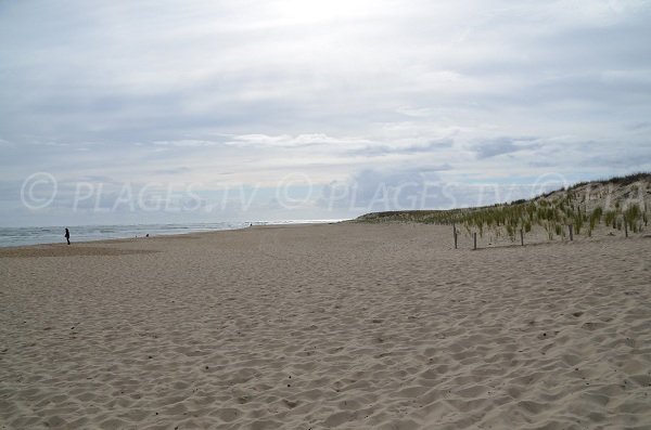 Beach of the tip of Cap Ferret