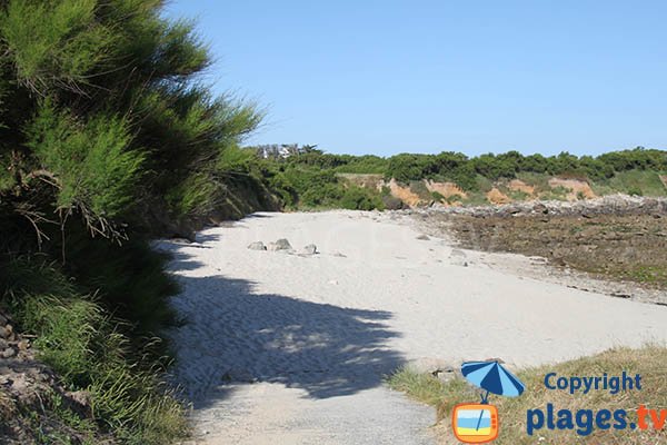 Environnement de la plage de Misclic à Sibiril