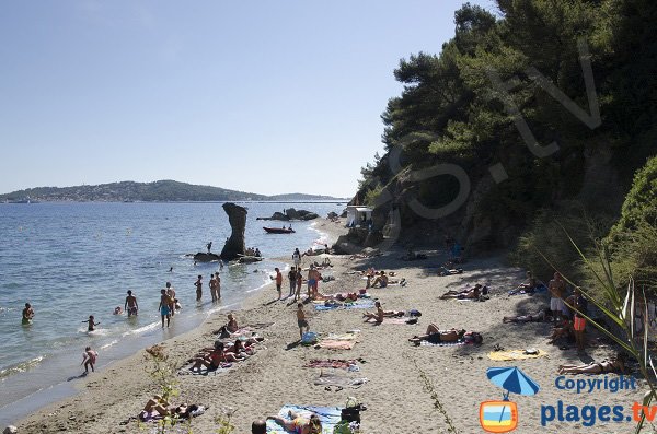 Mitre cove in Toulon