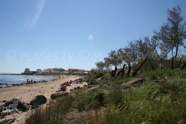 Environnement de la plage du Mole au Cap d'Agde