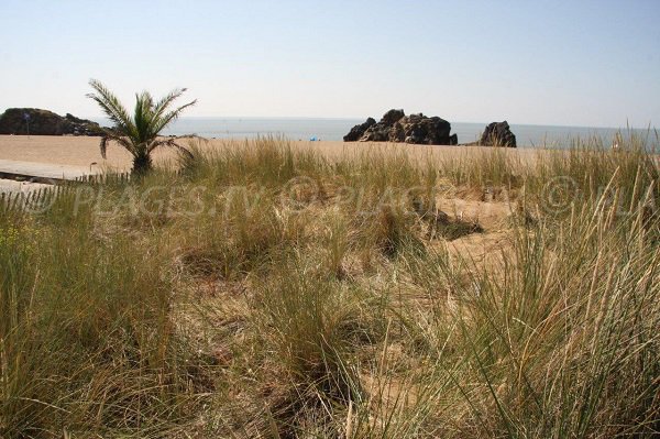 Photo de la plage de Saint Marc à Saint Nazaire