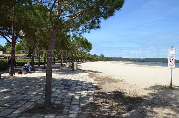 Promenade piétonne le long de la plage de Montaut au lac de Carcans