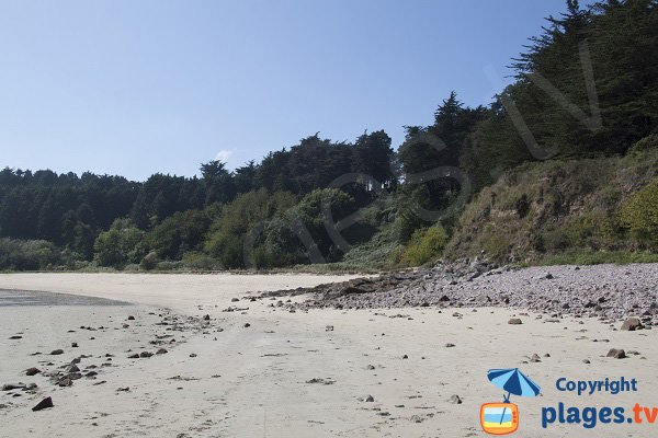 Environnement sauvage de la plage des Montiers - Erquy