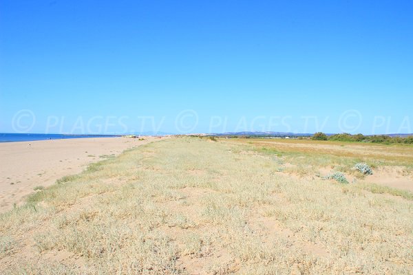 Environnement de la plage des Montilles à Vendres