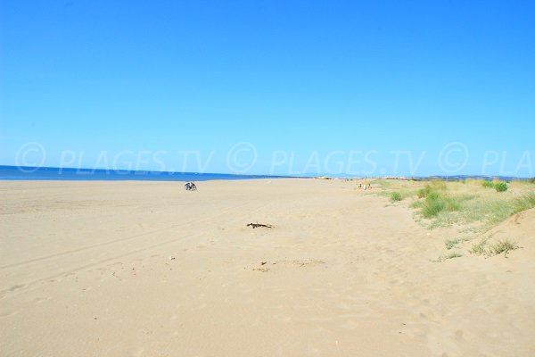 Plage des Montilles à Vendres