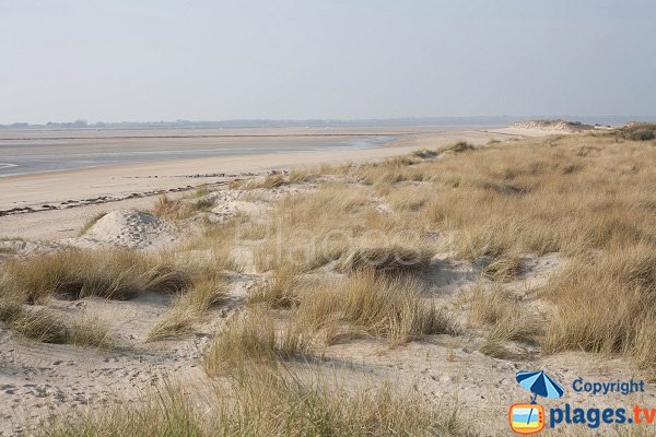 Plage de Montmartin-sur-Mer - 50