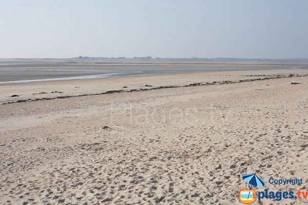 Montmartin-sur-Mer: sa plage avec vue sur la pointe d'Agon