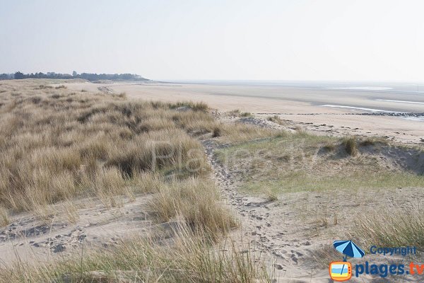 Photo de la plage de Montmartin sur Mer dans la Manche