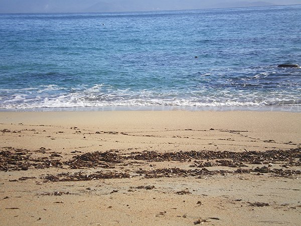 Sable sur la plage de Moorea