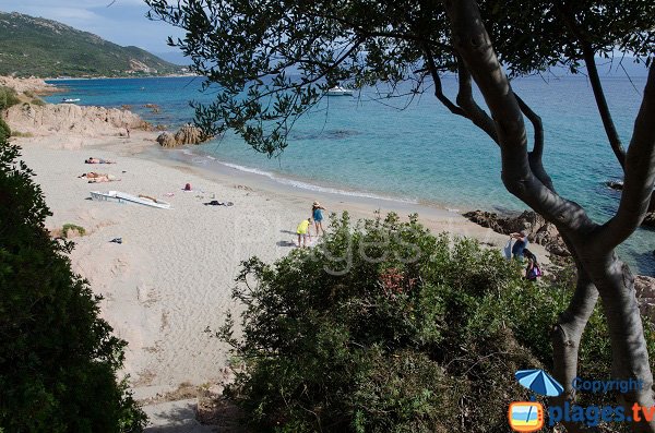 Plage de Moorea à Ajaccio en été