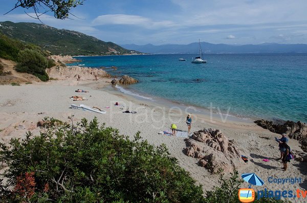 Plage avec eau turquoise à Ajaccio - Moorea