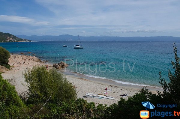 Foto spiaggia di Moorea a Ajaccio - Corsica