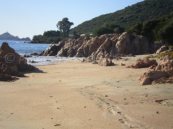 Plage Moorea à Ajaccio