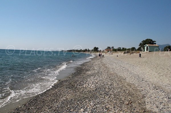 Foto della spiaggia di Moriani in Corsica