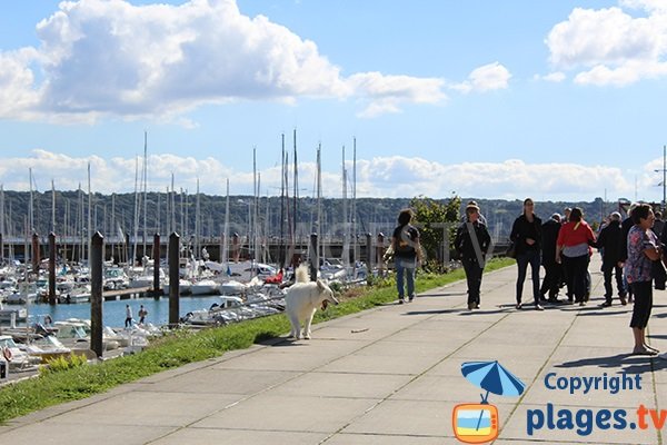 Promenade piétonne de la plage de Brest et du port