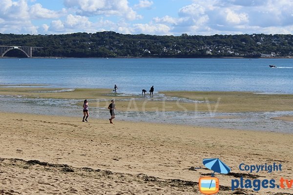 Plage familiale à Brest