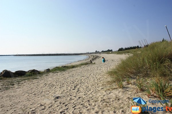 Photo de la plage  du Moulin de la Bosse - Noirmoutier