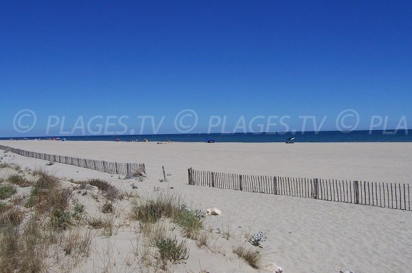 Plage sauvage dans l'Aude - Le Mouret, Leucate