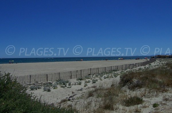 Spiaggia selvaggia in Leucate