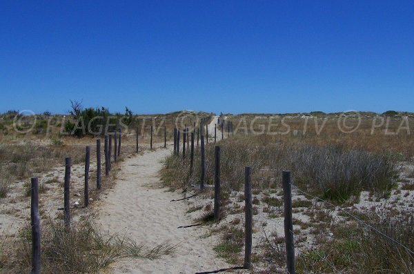 L'accesso alla spiaggia del Mouret - Leucate