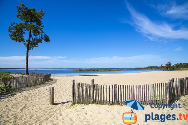 Photo de la plage de Moutéou Pipiou