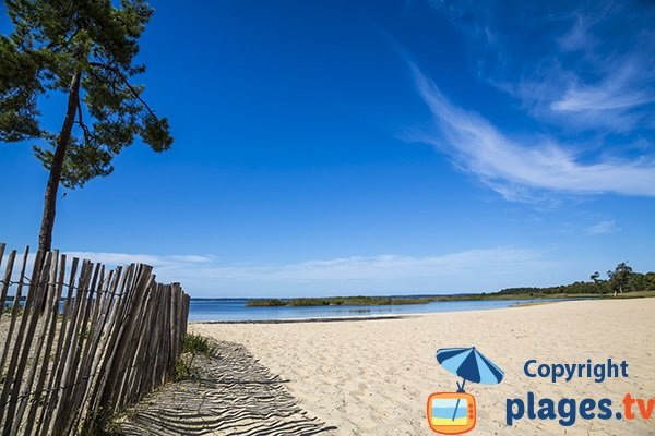 Plage du lac de Parentis dans les Landes