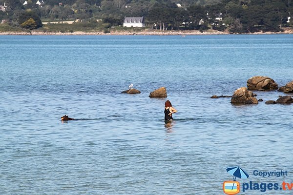 Baignade sur la plage du Mouton