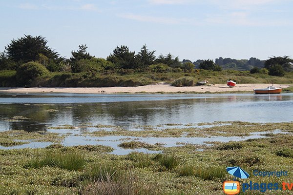 Vue depuis l'ile Grande de la plage du Mouton