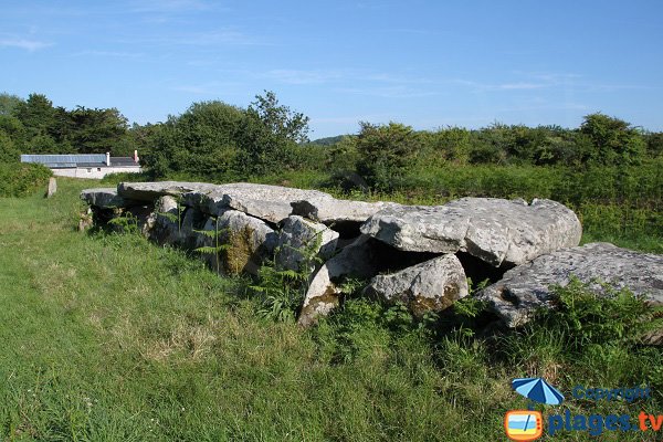 Allée couverte du Prajou Menhir