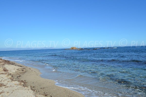 Clarté de l'eau sur la plage de la Moutte